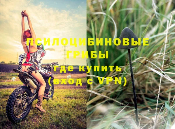синтетический гашиш Белокуриха